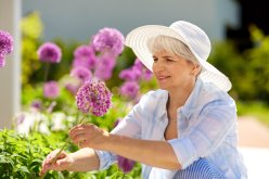 Why Local Climate Matters: Adjusting Care Habits to Match Seasonal Shifts