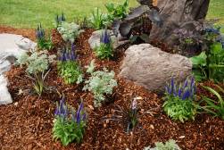 How to Choose the Perfect Color Palette for Your Garden