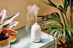User Reviews: The Most Reliable and Stylish Air Purifiers for Allergy Relief