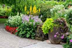 Top 5 Creative Ways to Mix Heights and Colors in Planter Arrangements